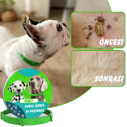 Herbfy™ - 8 Aya Kadar Koruma Sağlayan Köpekler İçin Tamamen Doğal Pire ve Kene Önleyici Tasma