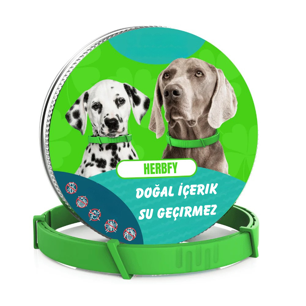 Herbfy™ - 8 Aya Kadar Koruma Sağlayan Köpekler İçin Tamamen Doğal Pire ve Kene Önleyici Tasma